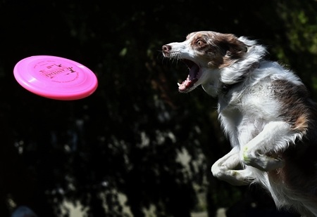 Những hình ảnh thế giới nổi bật tuần qua