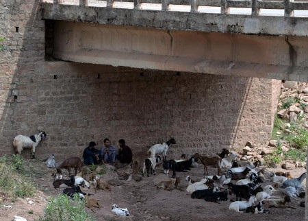 Một nhà xác của tổ chức từ thiện Edhi chật cứng thi thể người tử vong vì nắng nóng (Ảnh: