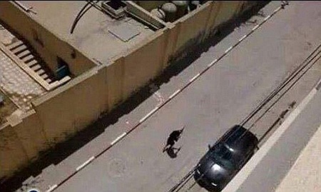 Rất đông du khách nước ngoài đang rời Tunisia sau vụ xả súng (Ảnh: