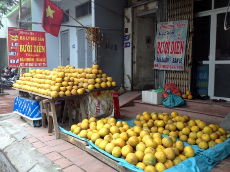 Bưởi được bày bán dọc đường Phúc Diễn