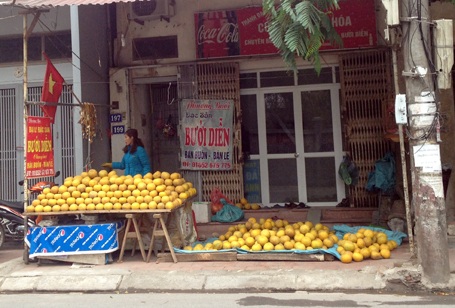 Giá những quá bưởi này cũng khá đắt đỏ