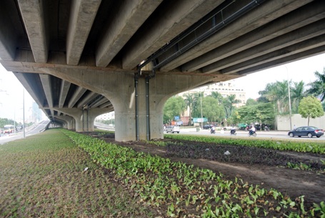 Gầm cầu đường trên cao ở Vành đai 3 đang được trồng cỏ