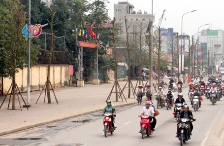 Cây trơ trụi không cành, không lá trên đường Giảng Võ