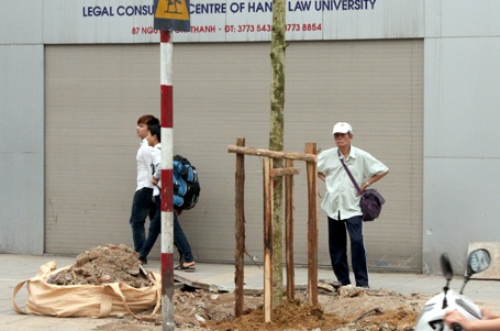 Ông Trần Quang Định (83 tuổi) cảm thấy tiếc cho những cây rợp bóng mát đã bị chặt hạ trước đây