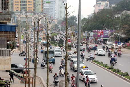 Chủ tịch Hà Nội chỉ đạo xử lý sau thanh tra vụ cây xanh