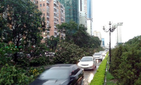Mưa giông lớn "càn quét" Hà Nội, cây xanh đổ la liệt, giao thông hỗn loạn - 26 Hàng cây trên đường Lê Văn Lương bị gió quật gãy tơi tả (Ảnh: Q. Phong)