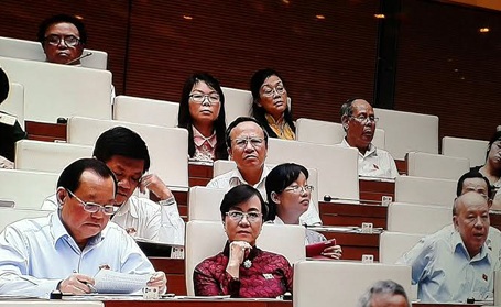 "Truy" trách nhiệm Bộ trưởng Nông nghiệp việc dưa, hành... thua đau - 2 Đại biểu không hài lòng với phần trả lời của Bộ trưởng Cao Đức Phát (Ảnh: Quang Phong)