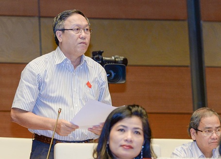 Vấn đề nào được đưa ra trưng cầu ý dân? - 2 Đại biểu Đỗ Ngọc Niễn đề nghị phạm vi trưng cầu ý dân được thể hiện ở tầm quốc gia và
địa phương