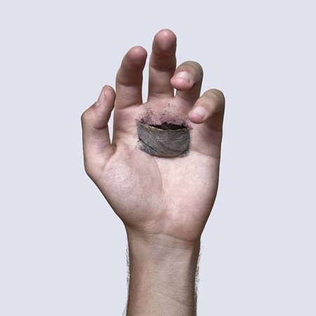 ...và một mầm cây vươn lên trong một hình ảnh nghệ thuật ẩn chứa nhiều ý nghĩa đẹp: