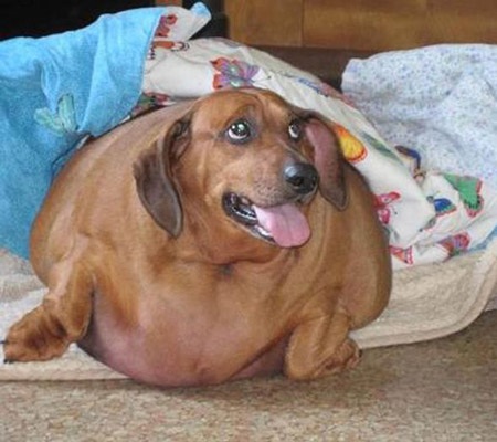 Rất nặng nề, yếu đuối