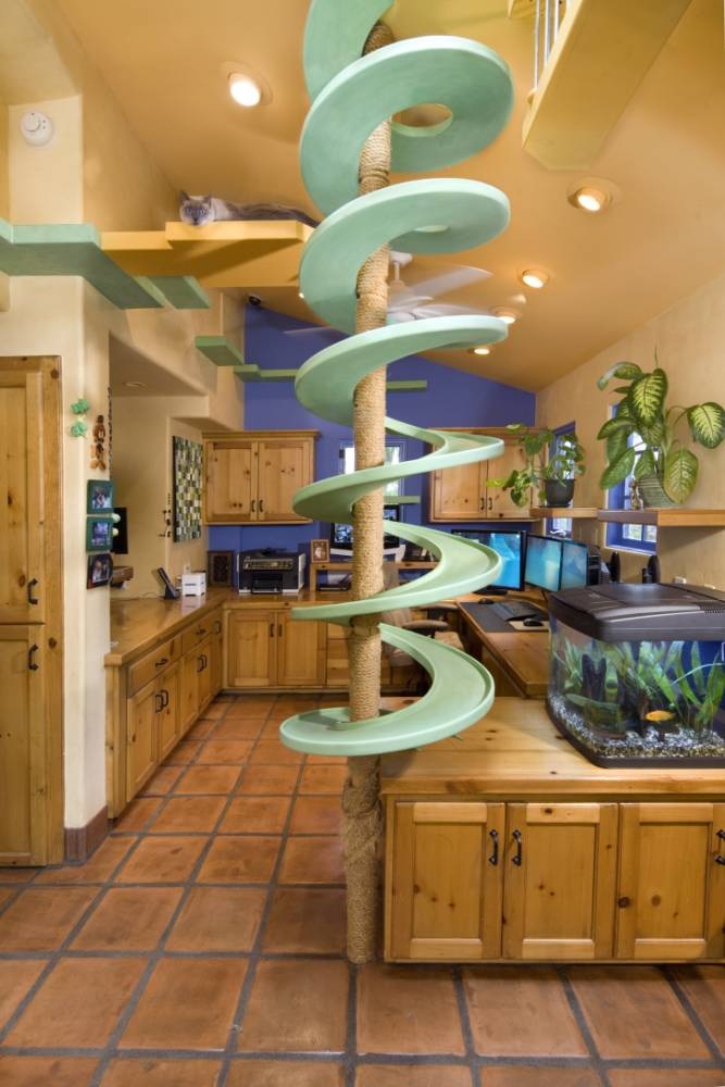 Xây nhà cho mèo đẹp như mơ