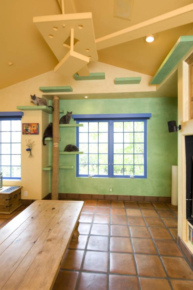 Xây nhà cho mèo đẹp như mơ