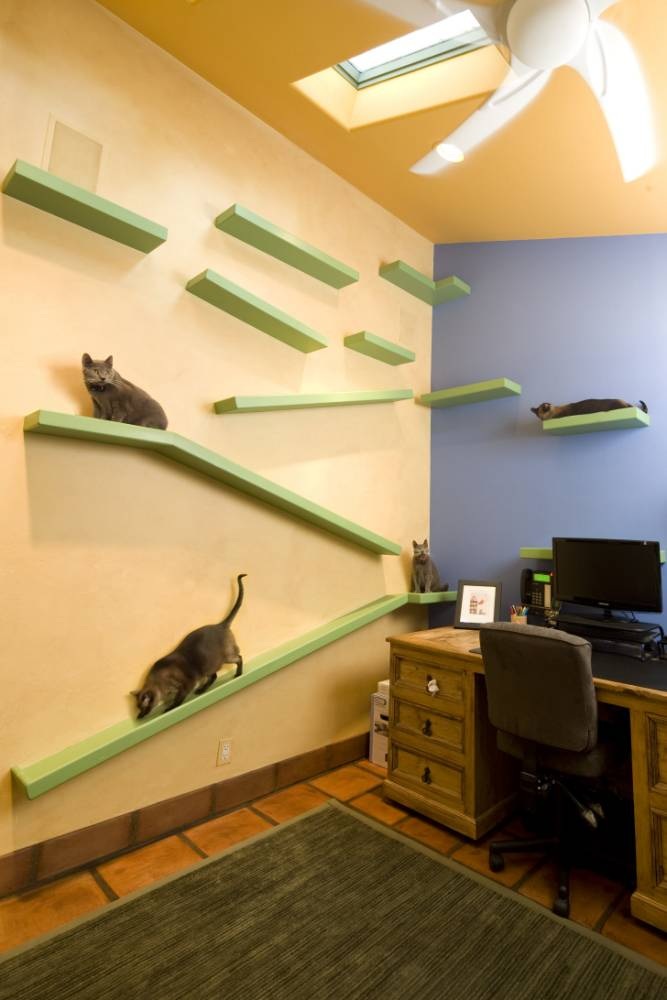 Xây nhà cho mèo đẹp như mơ