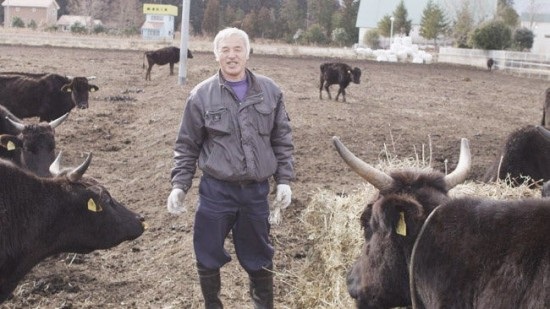 Một mình trở lại vùng đất phóng xạ để chăm sóc thú nuôi