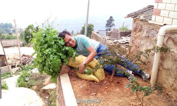 Củ cải khổng lồ nặng hơn 15 kg tại Trung Quốc - 3 Nhiều người tỏ rõ sự nghi ngờ chủ nhân đã sử dụng chất kích thích thì cây cải mới to lớn như vậy.