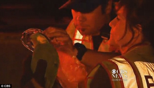 Vẹt kêu cứu, cứu hỏa vội đến ngay