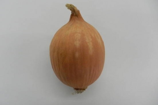 Hành không cay mắt - phát minh mới của người Nhật - 1 Hành không cay mắt - phát minh mới của người Nhật