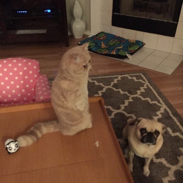 Có chút dỗi hờn với tên Cún đến muộn buổi hò hẹn