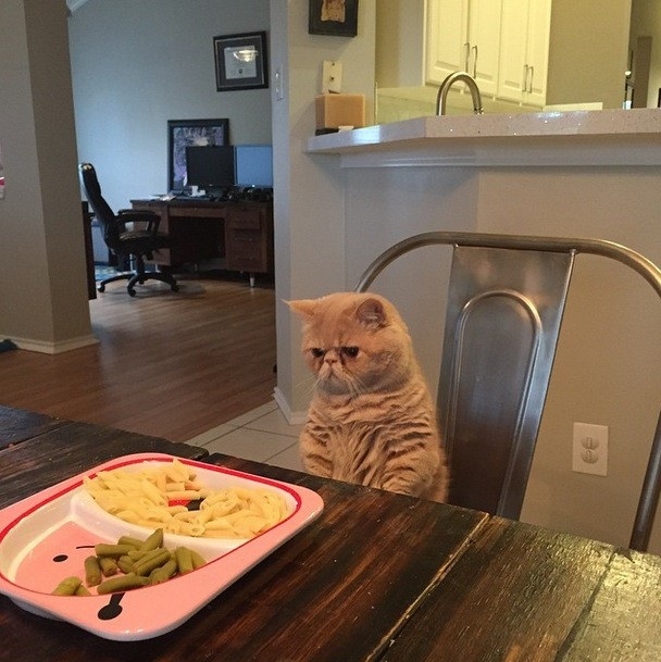 Không có nước xốt sao?