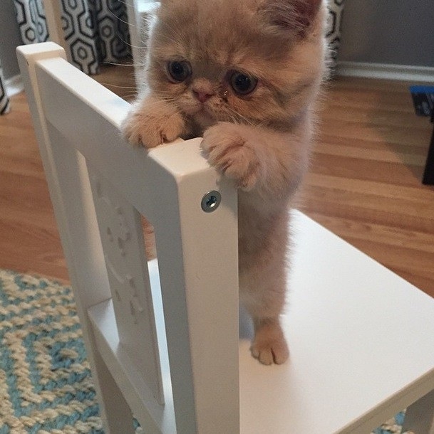 Ăn hết pizza mà không gọi mình