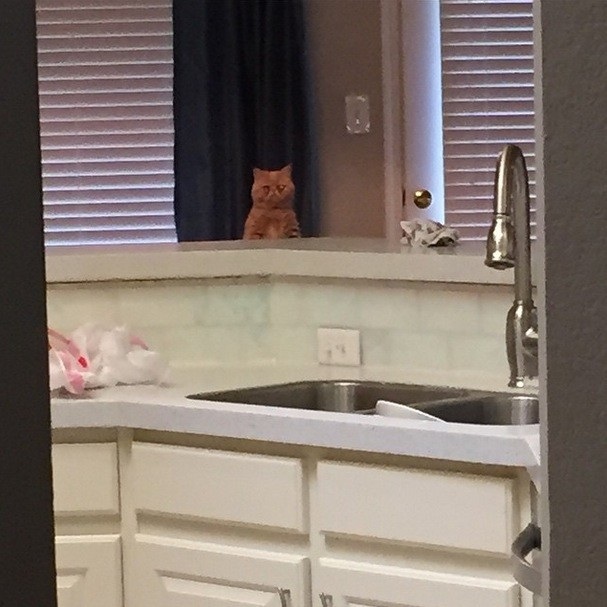 Đây là lúc George nghe Part of World của The Little Mermaid. Nghe đi nghe lại.