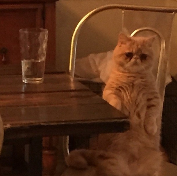 Đây là lúc George nghe Part of World của The Little Mermaid. Nghe đi nghe lại.