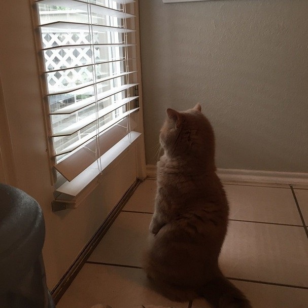 Đây là lúc George nghe Part of World của The Little Mermaid. Nghe đi nghe lại.