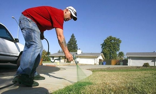 Tiết kiệm nước, người dân California phun màu cỏ cho xanh - 2 Tiết kiệm nước, người dân California phun màu cỏ cho xanh