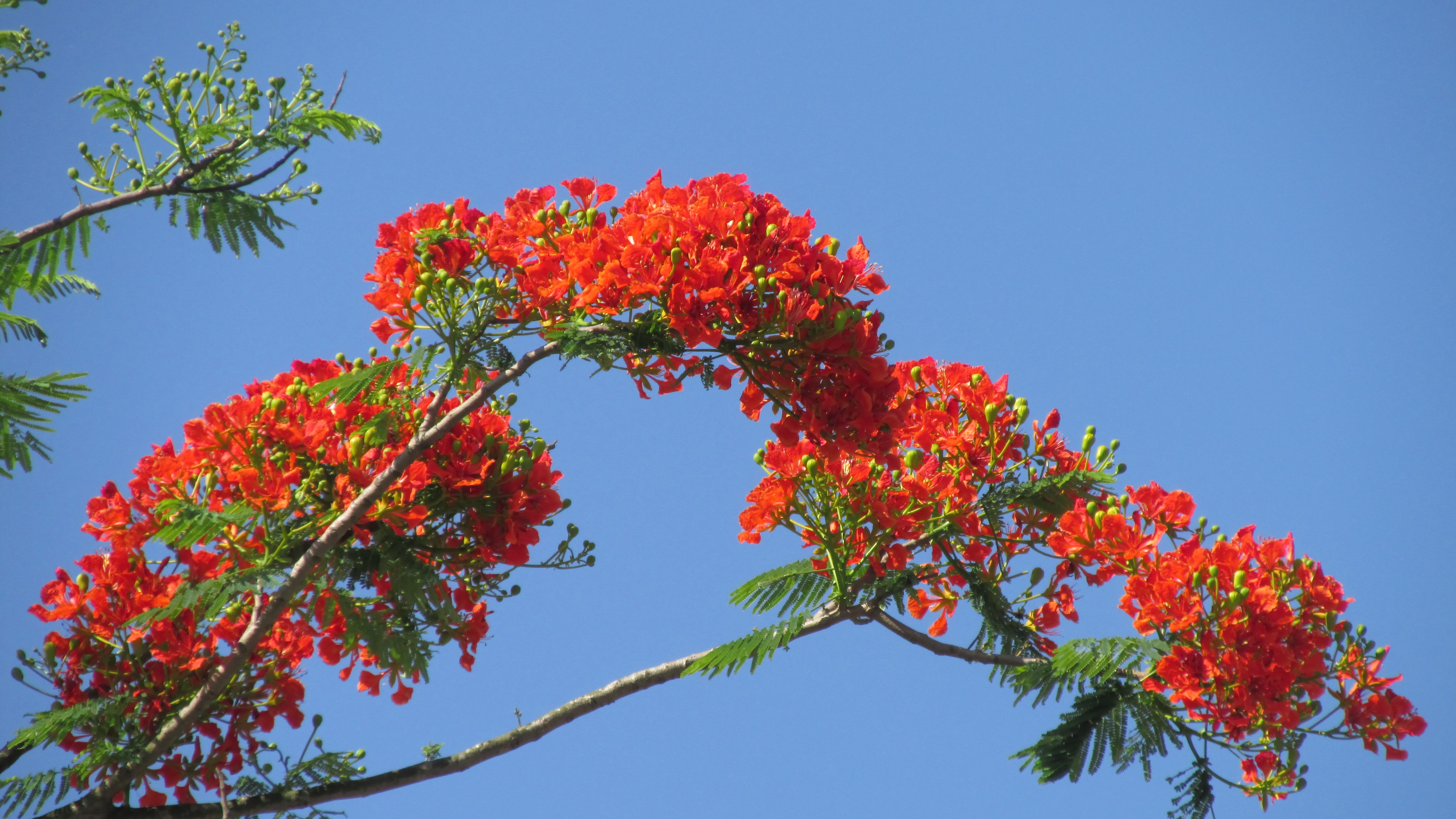 Khung trời thương nhớ