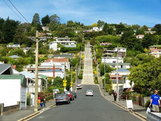 Ghé thăm con phố dốc nhất thế giới ở New Zealand - 3 Ghé thăm con phố dốc nhất thế giới ở New Zealand