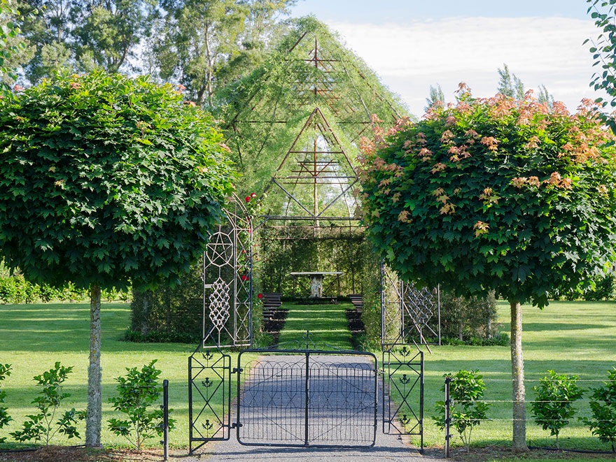 Độc đáo nhà thờ cây ở New Zealand