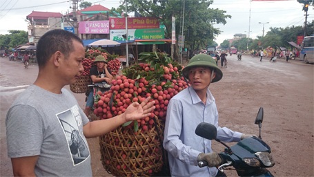 Một thương lái Trung Quốc trả giá 14.000 đ/kg
