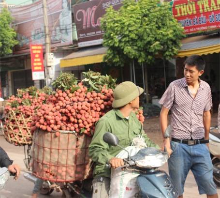 Nhà vườn này đang đòi giá 15.000 đ/kg