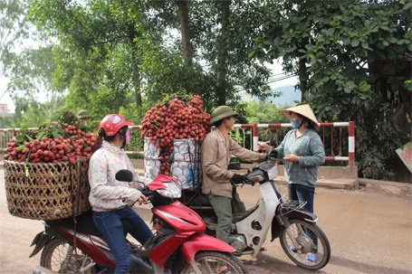 Lấy phiếu tính tiền theo từng mã cân