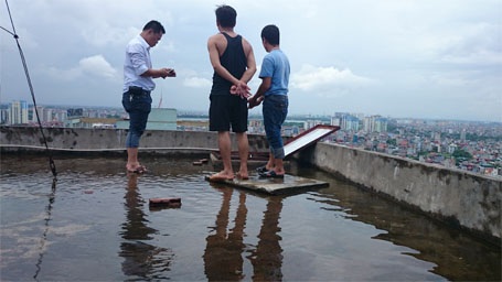 Nước sinh hoạt bẩn như nước cống: Xét nghiệm toàn bộ nguồn nước - 5 Nước thường xuyên ứ đọng trên mặt bể mái tại tòa nhà 15T2