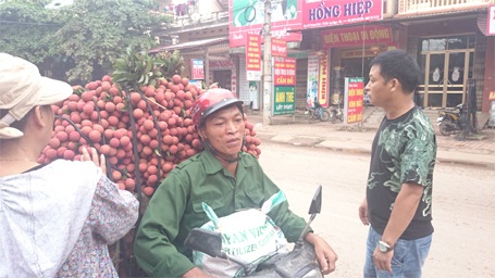 Một thương lái Trung Quốc trả giá 14.000 đ/kg