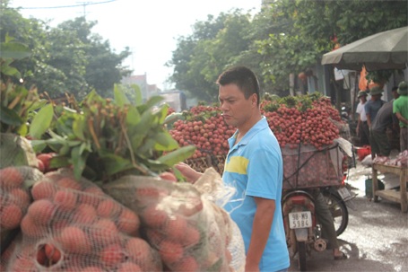 Đắn đo lựa chọn
