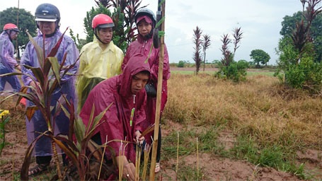 Em trai  thắp hương cho chị.