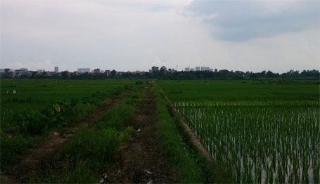 Ông Sáng  gắn bó với nghề bắt lươn đã được 34 năm