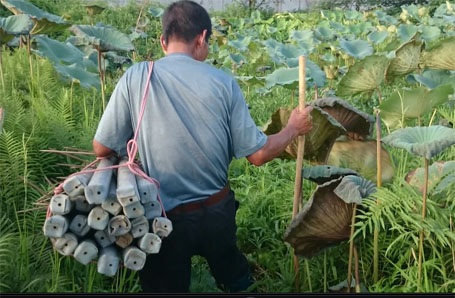 Ông Sáng quyết định ra Hà Nội hành nghề bắt lươn