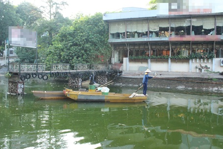 Hồ Thiền Quang cá chết nổi trắng mặt nước, bốc mùi nồng nặc - 10 Công nhân môi trường rất vất vả thu gom xác cá trên mặt hồ