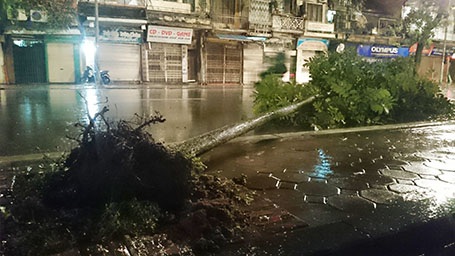 Phố Đinh Tiên Hoàng (