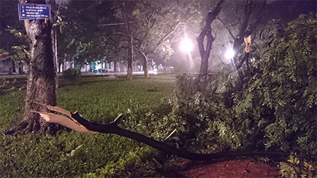 Khuôn viên Hồ Hoàn Kiếm (