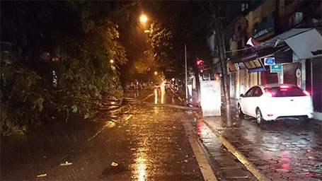 Cây xanh đổ chắn hết lòng đường trên con phố Lê Duẩn (