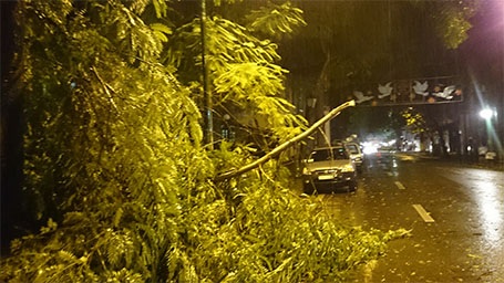 Trên phố Tràng Thi  (