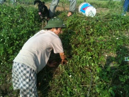 Cũng có khi thợ săn phải cho tay vào tận trong hang để tóm gọn chú chuột