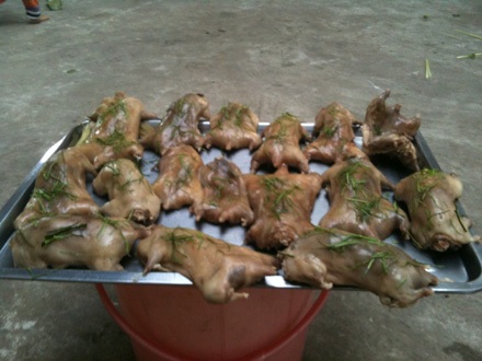 Món thịt chuột hấp lá chanh vừa ngon vừa lạ