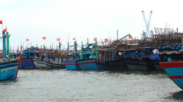 Hơn 1 nghìn tàu thuyền của ngư dân đã vào cảng Quy Nhơn trú tránh an toàn.