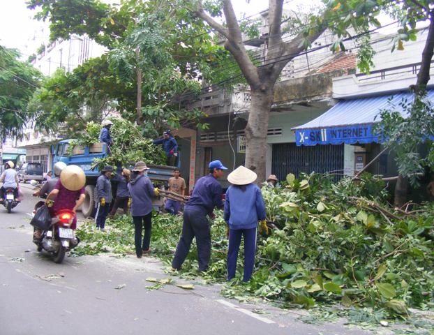 Công nhân đô thị thành phố đang chặt tỉa cành to trên hè phố.