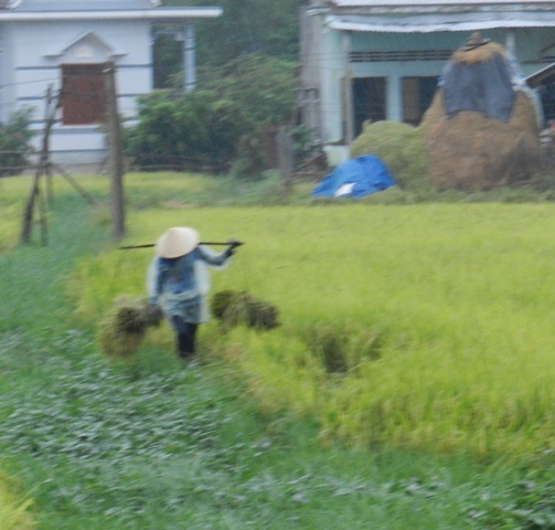 Sáng 7/10, tại Bình Định trời tiếp tục mưa vừa có nơi mưa to.